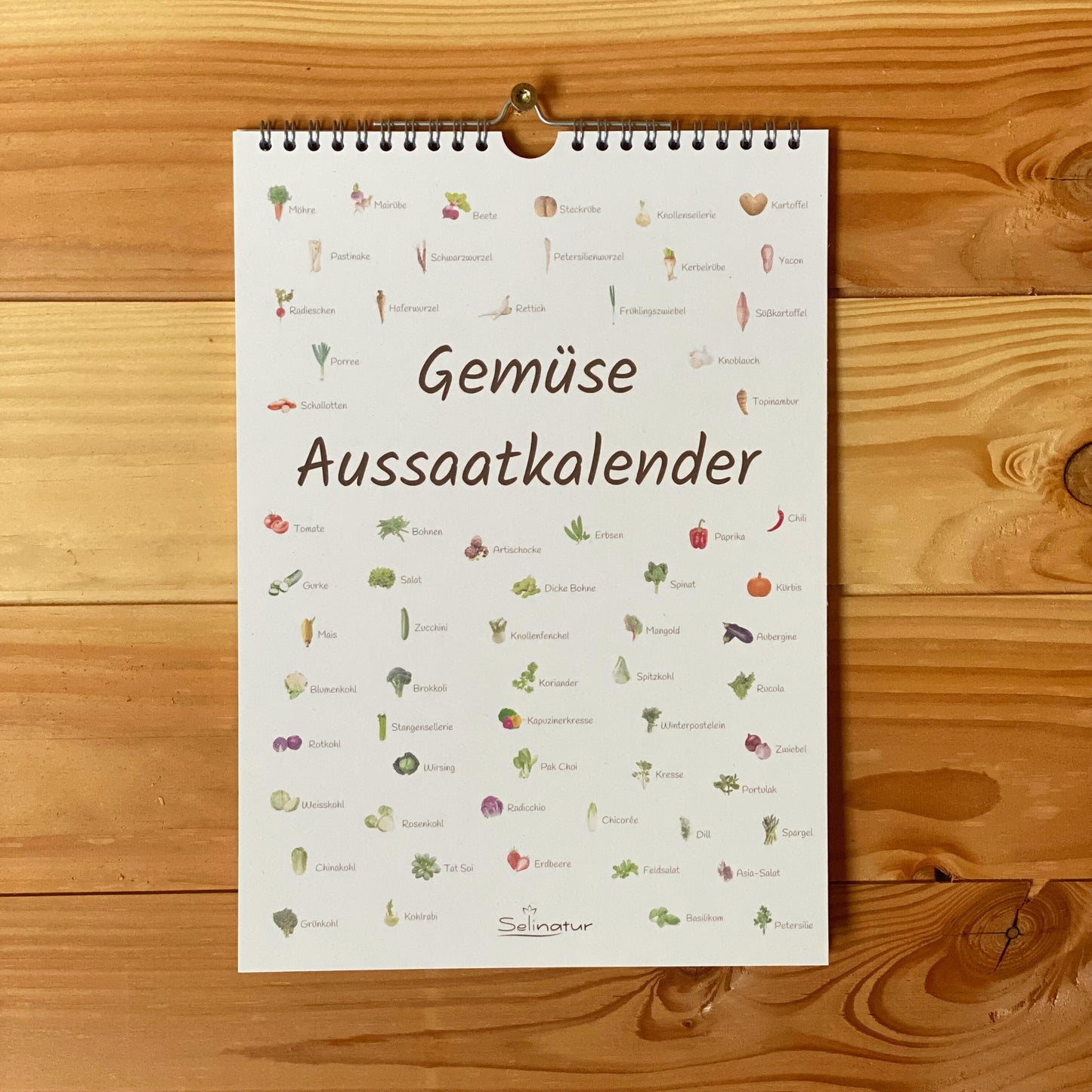 Gemüse Aussaatkalender