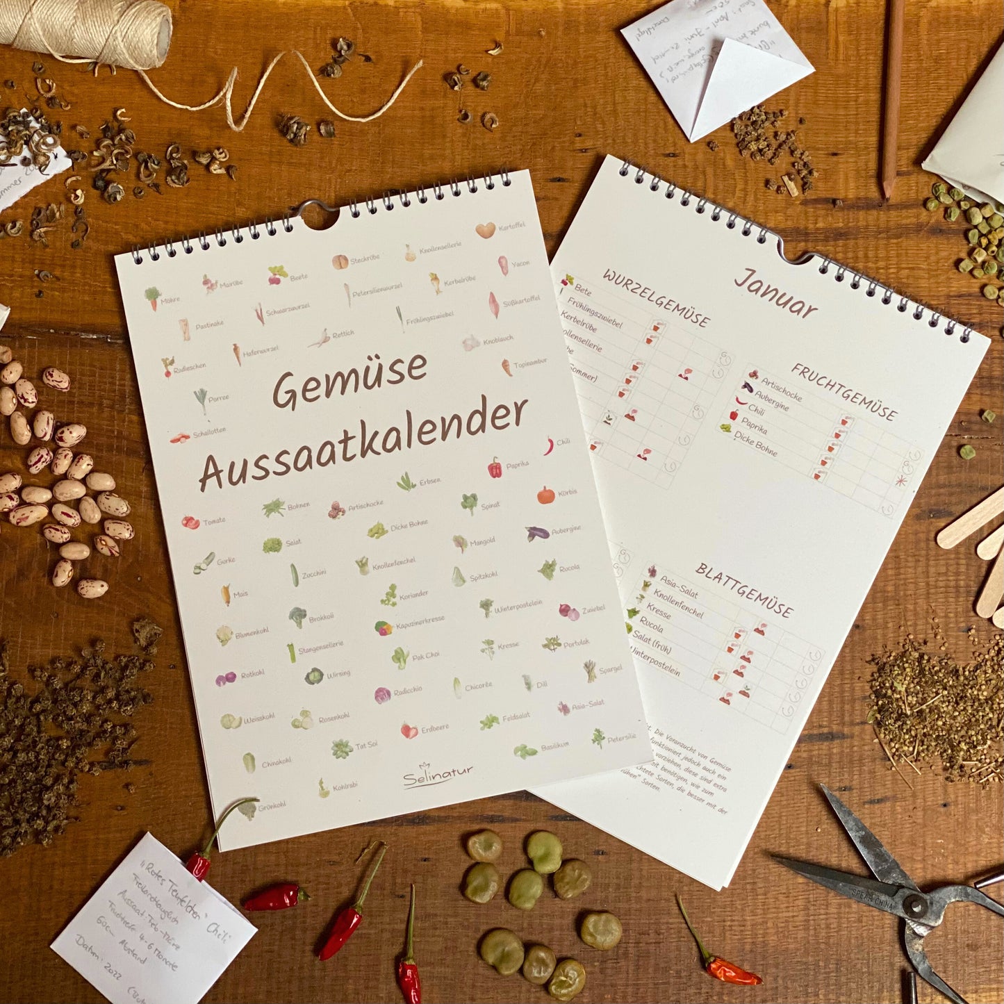 Gemüse Aussaatkalender