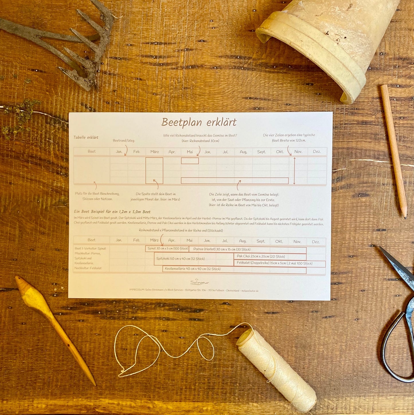 Gemüse Beetplan