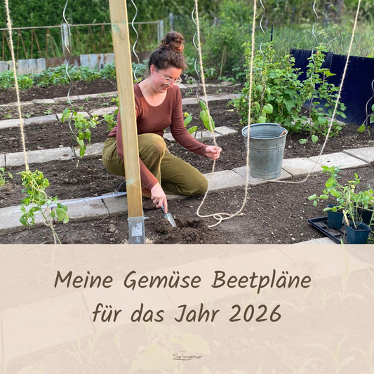 Meine Gemüse Beetpläne für 2026 (PDF)