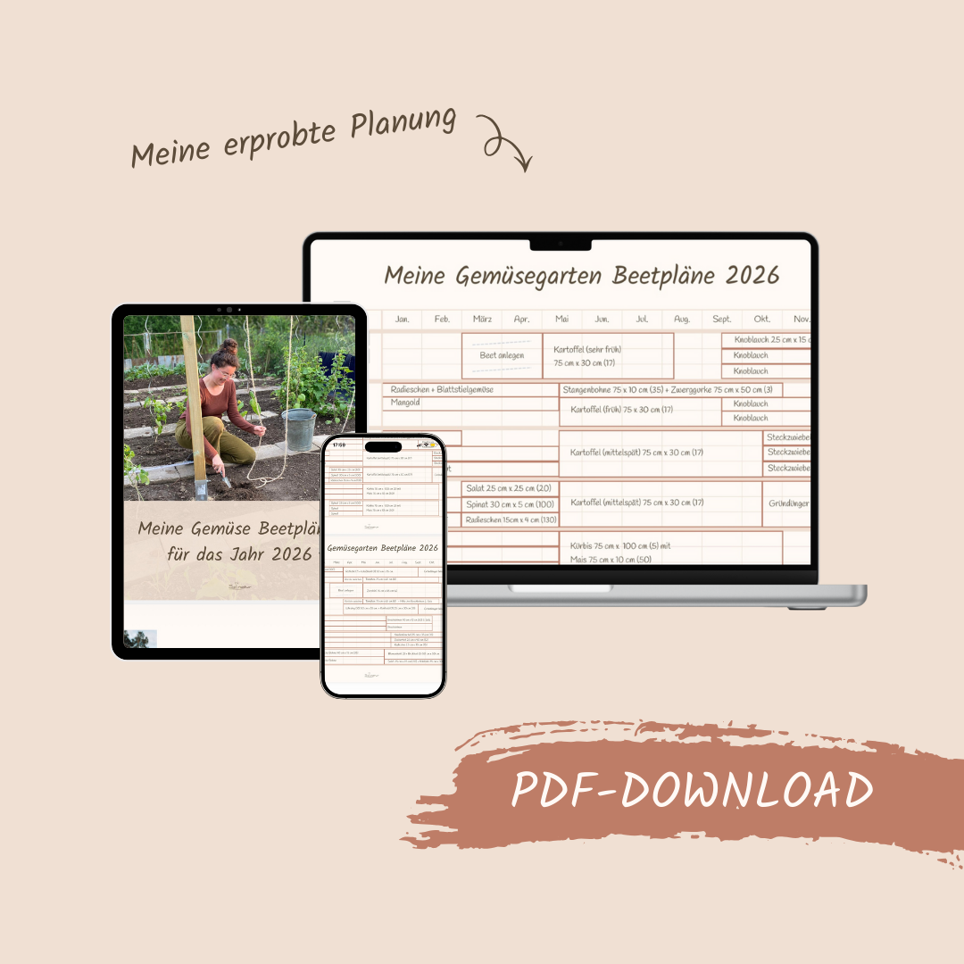 Meine Gemüse Beetpläne für 2026 (PDF)