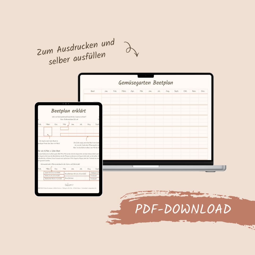 Beetplan zum Ausdrucken (PDF)