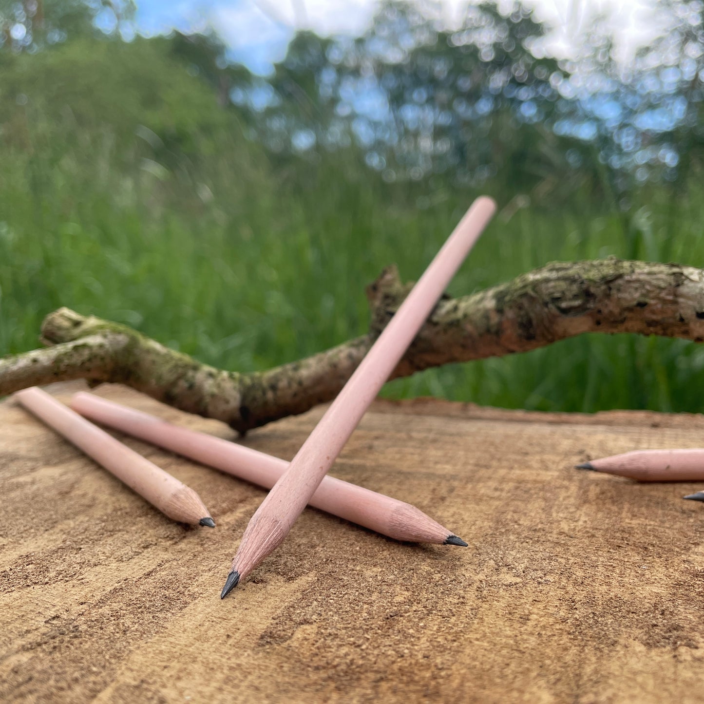 FSC Bleistift Natürlich und Plastikfrei Selinatur FSC Bleistift Natürlich und Plastikfrei Selinatur