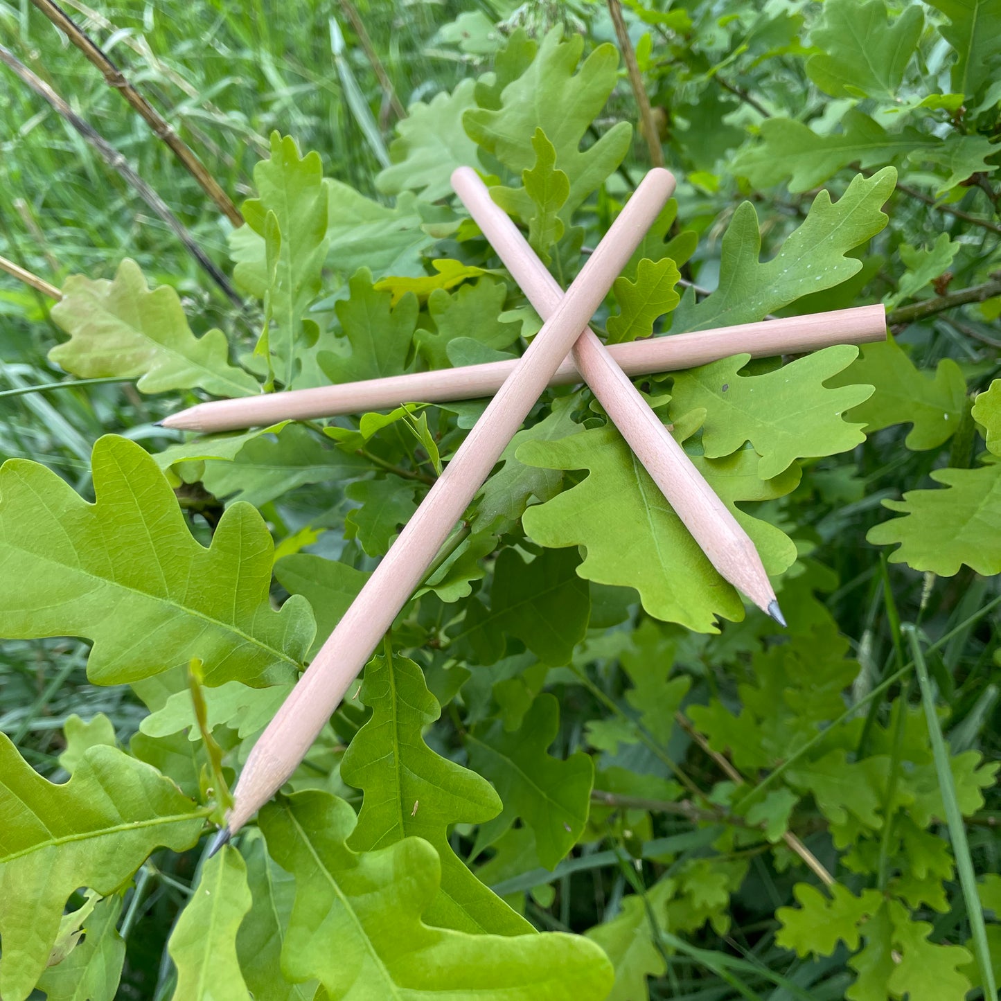 FSC Bleistift Natürlich und Plastikfrei Selinatur FSC Bleistift Natürlich und Plastikfrei Selinatur